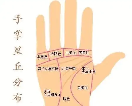手掌月丘部位有圆圈纹是好还是坏?有什么寓意?