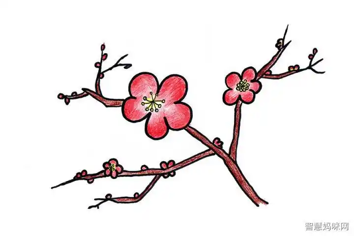 红色的梅花简笔画图片教程步骤手绘梅花漫画简笔画