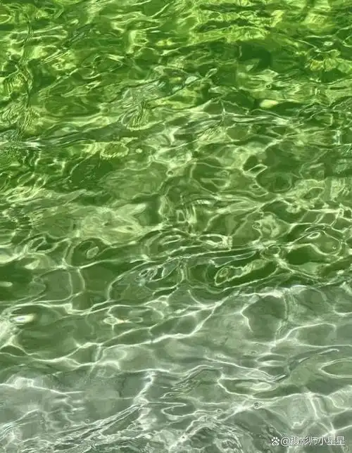 夏天拍这6种绿色,太养眼了!