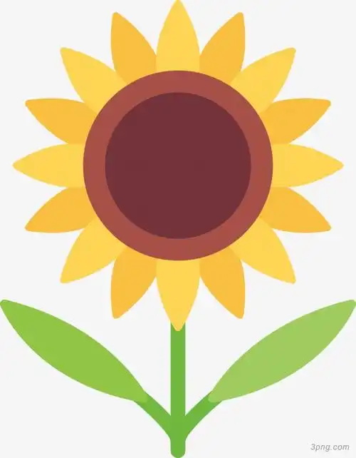 太阳花向日葵植物向日葵花海卡通向日葵向日葵唯美阳光大向日葵青椒