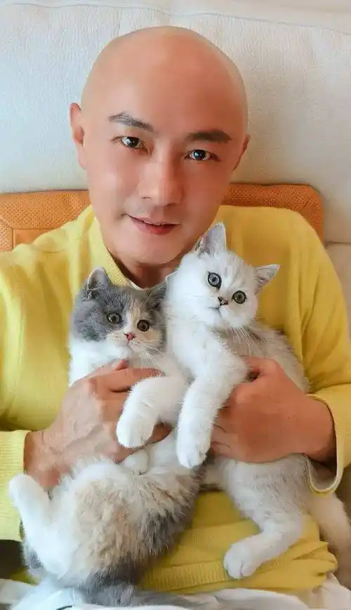 "前几天,"冻龄男神"张卫健分享了自己的近照,有人辣评——又是在评论