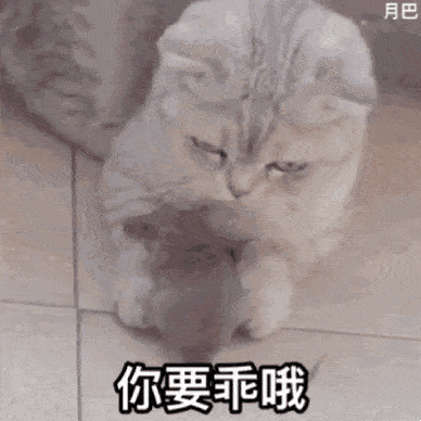 卖萌表情包:电死你个小可爱