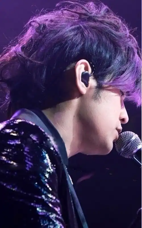 周杰伦经典造型紫毛伦