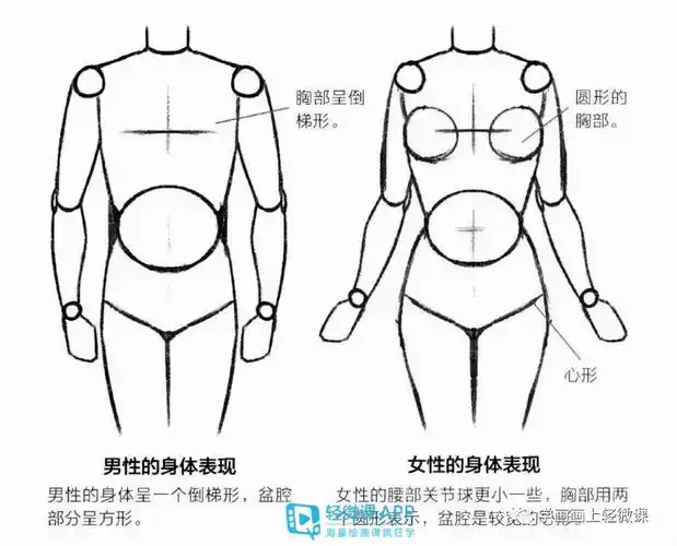 原创动漫人体怎么绘制绘画人体基础入门技巧