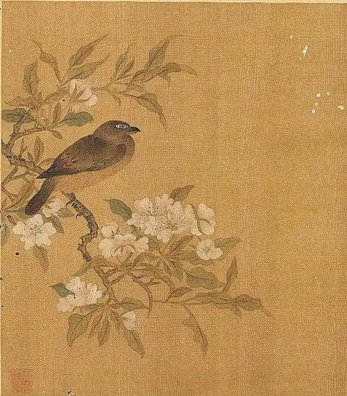 宋 钱选 《写生图册〈梨花翎毛〉》