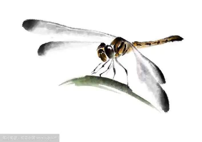 《蜻蜓水墨画》