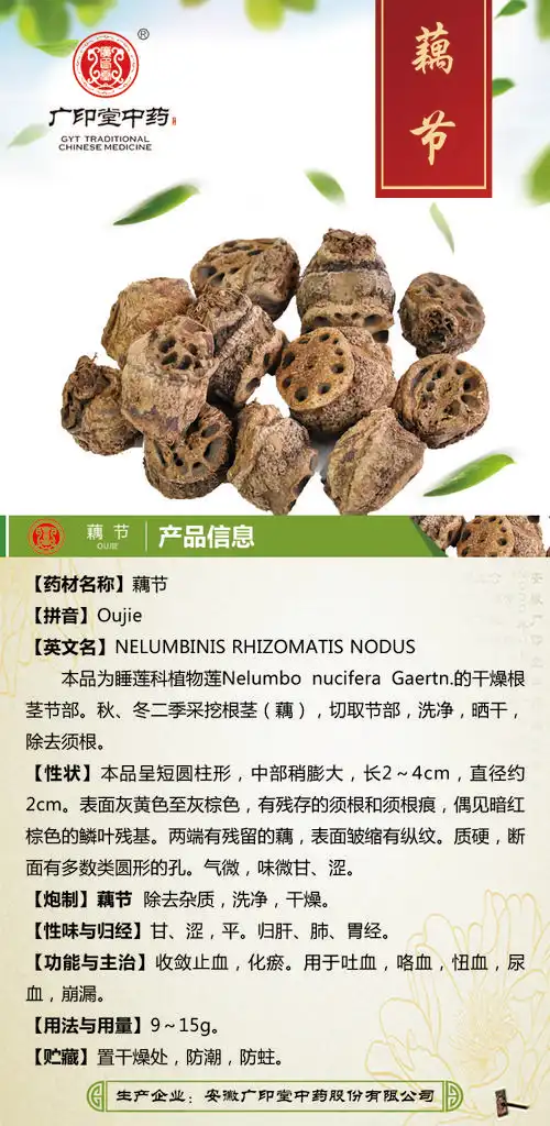 藕节-中药材及饮片-广印堂中药 - 安徽广印堂中药股份有限公司