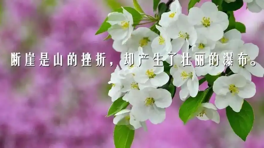 早上好唯美祝福壁纸图片带字感悟人生的早安哲理句子