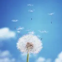 微信头像图片风景唯美_微信头像图片大全