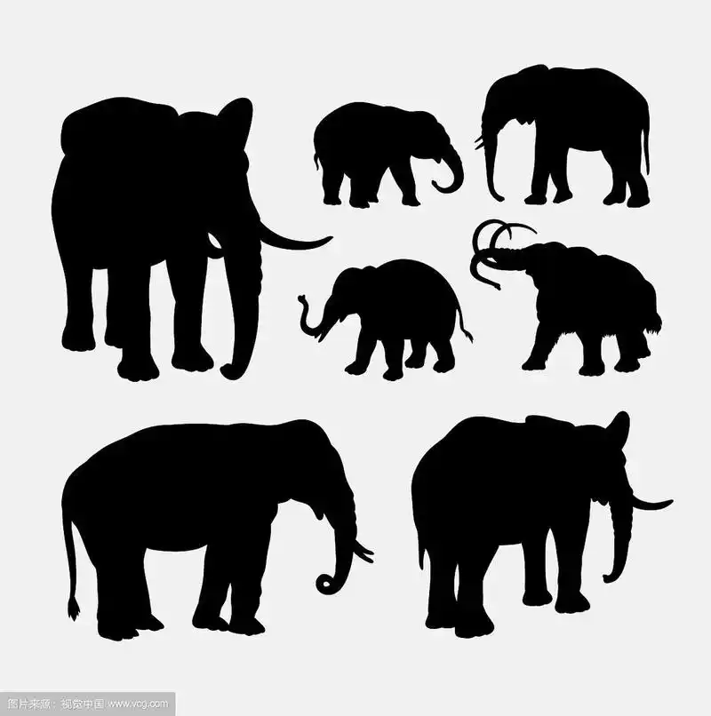 大象非洲野生动物的剪影