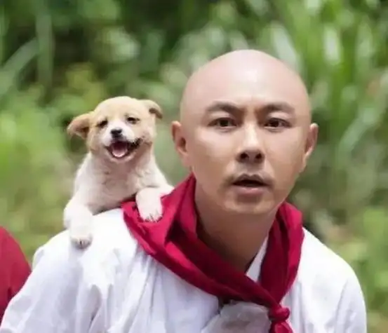 张卫健为了打破别人的质疑,才剃的光头