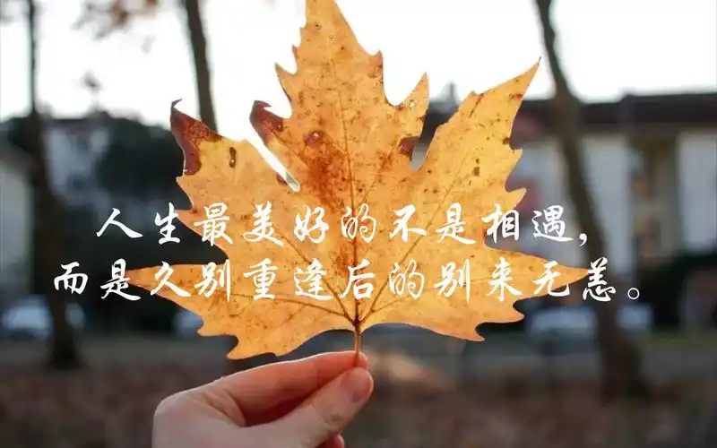 人生最美好的不是相遇,而是久别重逢后的别来无恙._哔哩哔哩_bilibili