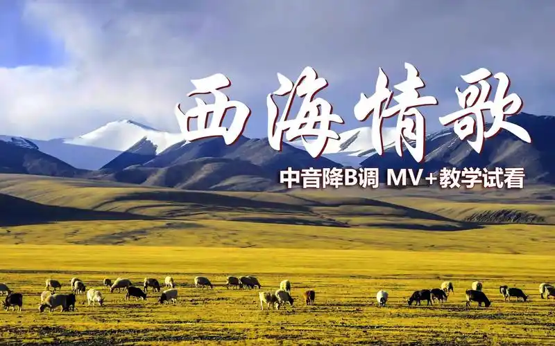 经典歌曲《西海情歌》,深情旋律凄美动人,萨克斯逐句教学示范!