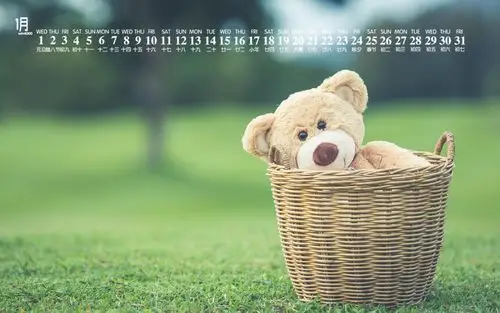 2020年1月可爱泰迪熊图片日历壁纸