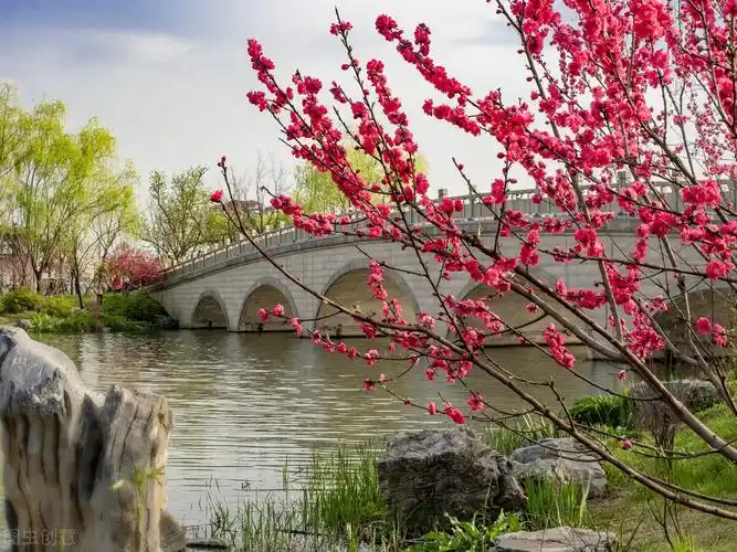 当唐诗宋词遇上春日美景,一起感受春天里的诗意美景