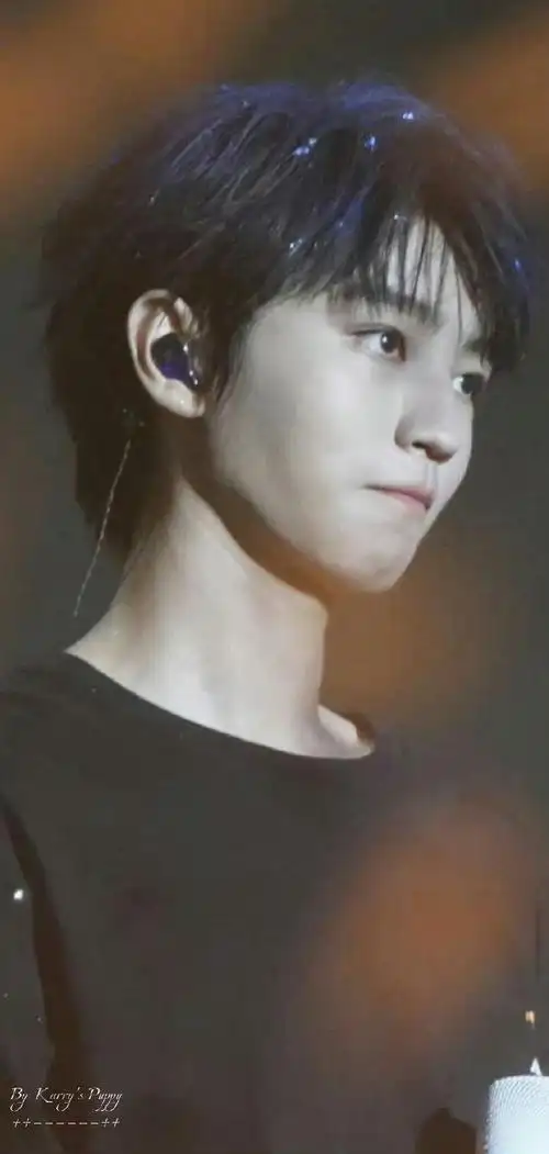 嘴@tfboys-王俊凯#champion大中华区品牌代言人王俊凯##champion冠军