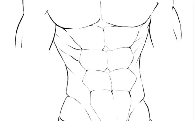 自学画画练习的第一百零五天(腹肌 斯哈斯哈99)