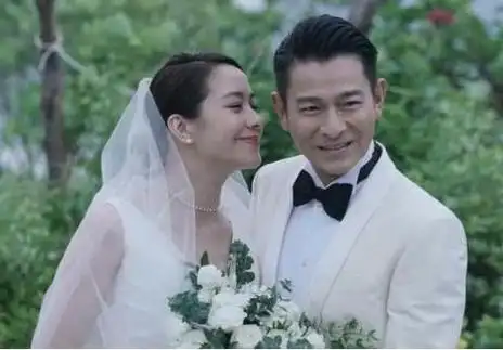 刘德华的老婆是,刘德华有几个妻子,本文共(2632字)