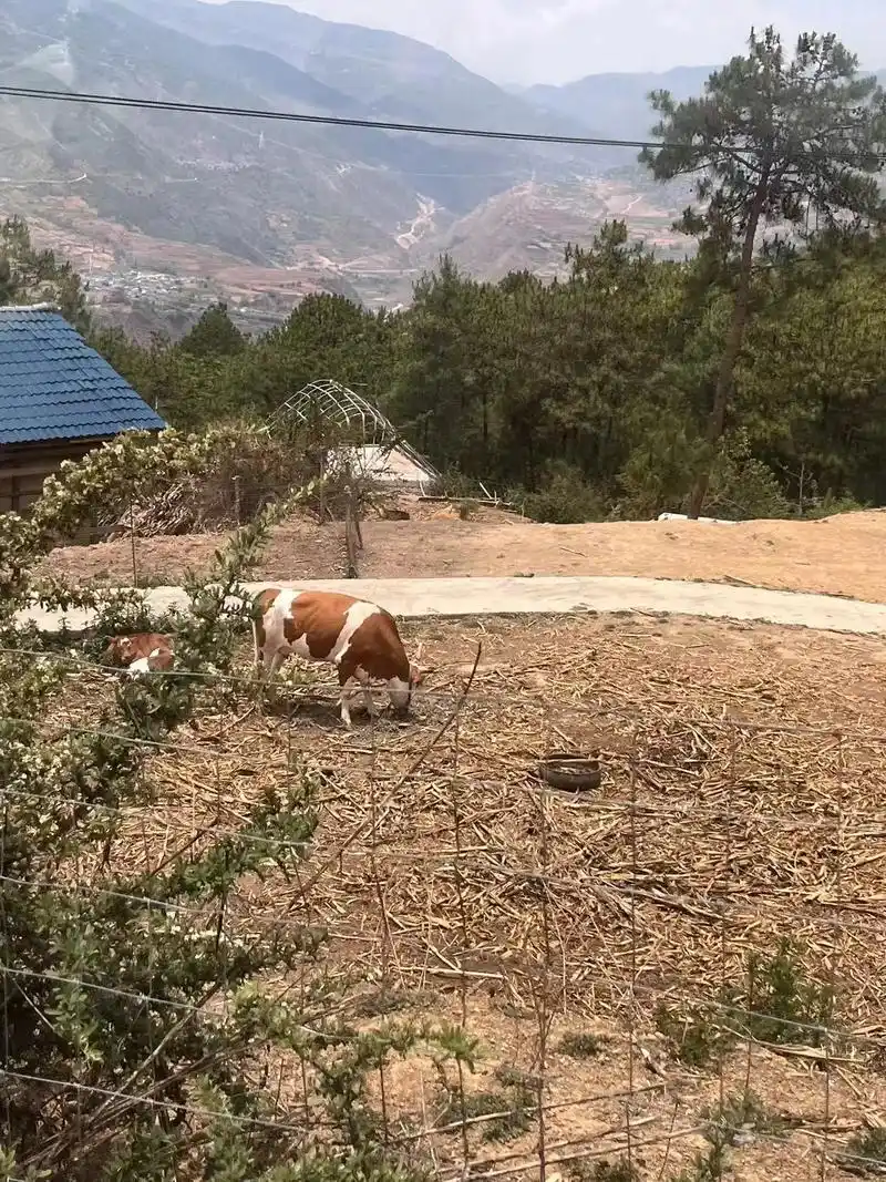 2024年江苏省南通如皋四川大凉山公益之行7/1启程92