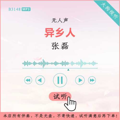b3148张磊 异乡人 中国好声音 live版伴奏 高品质 无人声