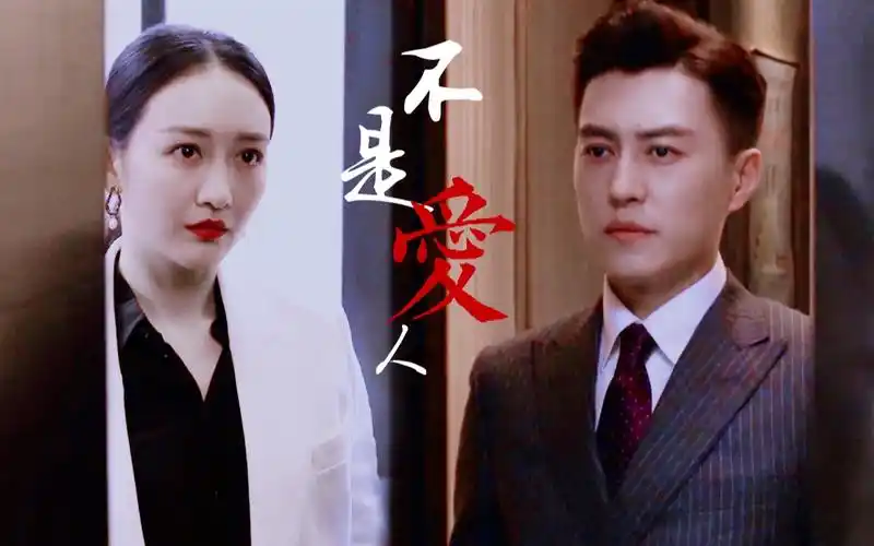 楼春现代/王鸥x靳东/不是爱人/甚至有些甜蜜只是捕风捉影并非铁证