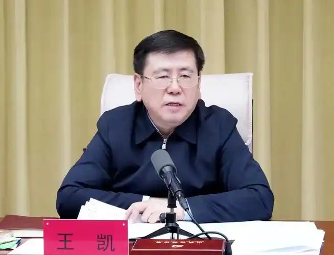 新任省长王凯:要盯住大企业,更要盯住铺天盖地的中小微企业!