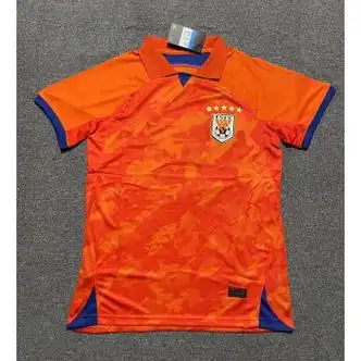 绿野客鲁能泰山队服 2023款山东球迷版中超鲁能训练服泰山队短袖球衣