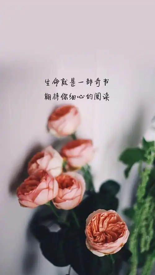 九句可以治愈心灵的句子