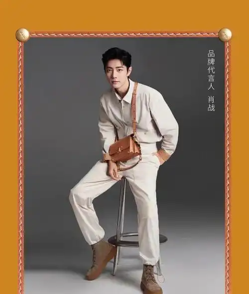 肖战同款todstimeless风琴包质感质感