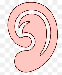矢量卡通人物耳朵