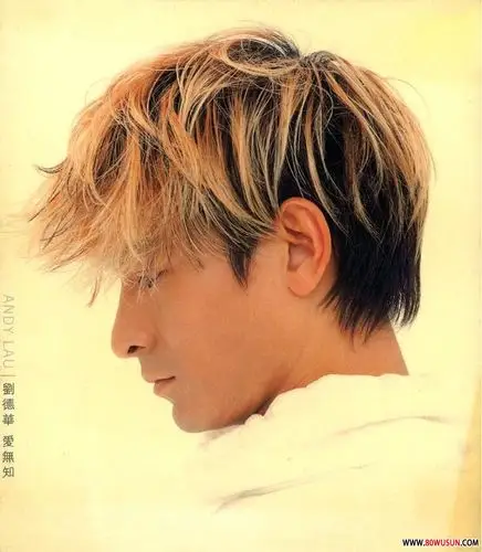 [wav]《爱无知(香港首版)》刘德华 1999/wav整轨 cue