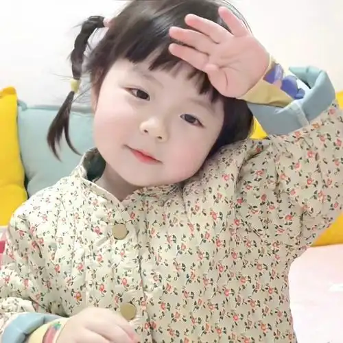 萌娃王迦禾长大了,胖嘟嘟双马尾闺蜜头像_1