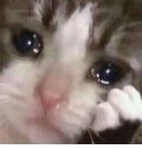 可怜巴巴委屈想哭猫猫图_表情包图片