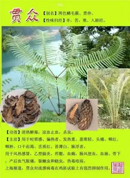 100种中药图谱大全