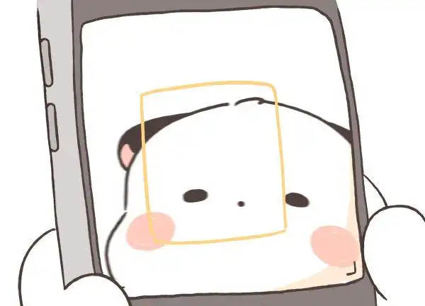 微信表情包三团到底是什么动物呀