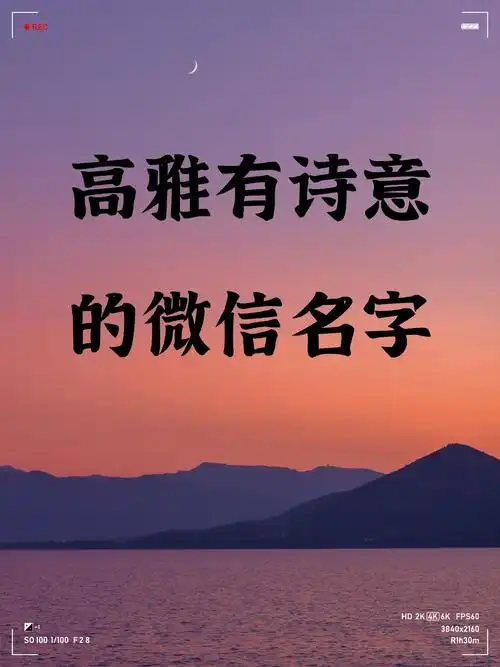 高雅有诗意的微信名字
