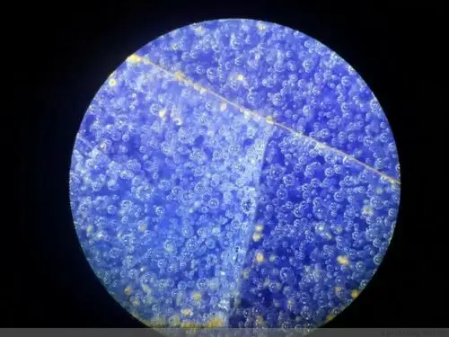 北宋汴京官窑款西亚进口钴料蓝宝石釉开冰裂纹双耳长方口福耳瓶微观