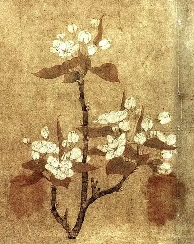 元代钱选《八花图卷》里的梨花