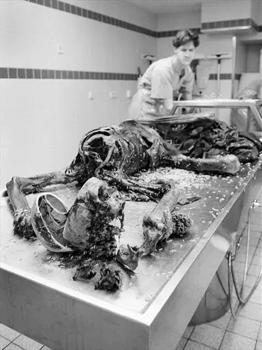 可以直观了解法医这一特殊职业:他们割裂尸体其实是对死者最大的尊重