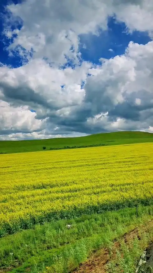 呼伦贝尔不止草原 一起享受大自然的美 最美的风景在路上