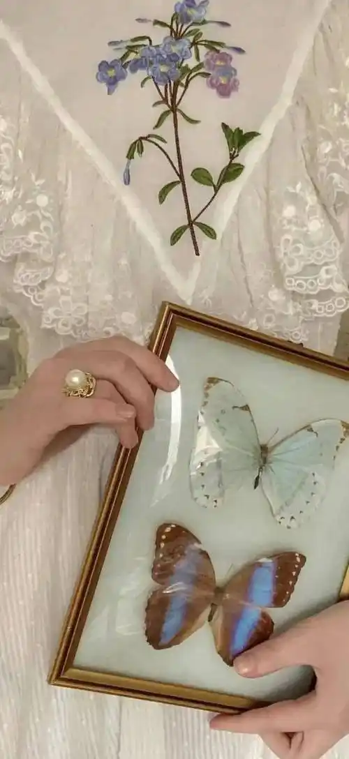 壁纸精选 | ins高级质感全屏壁纸