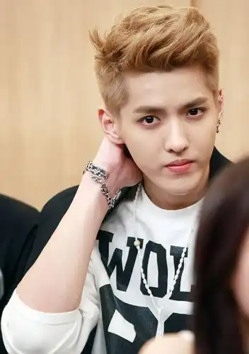 当红韩国男子组合exo成员,小分队exo-m队长吴亦凡(kris)正式向首尔