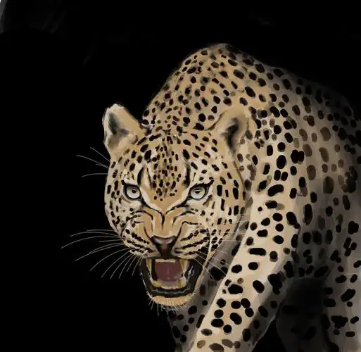 豹|插画|插画习作|vincent徐龙舟 - 原创作品 - 站酷 (zcool)