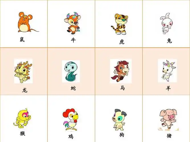 大班社会:十二生肖ppt