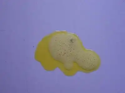 如果发现狗狗的呕吐物是黄绿色的,多半是呕吐的是胆汁,这表明狗狗是