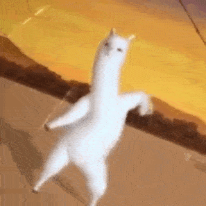 297_297gif 动态图 动图