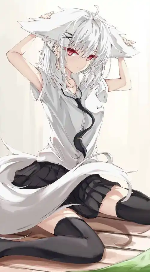 白毛控狂喜的兽耳美少女同人插画,感情调和及搭配色彩都很赞_作品