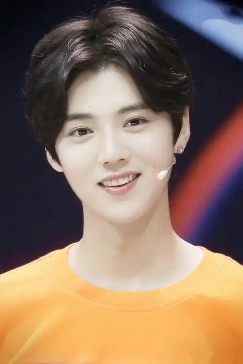 鹿晗的中分额,这个发色不是个很适合鹿晗