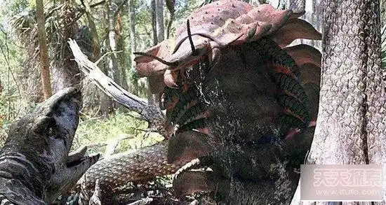 14大远古恐怖巨型生物绝对让你心惊肉跳