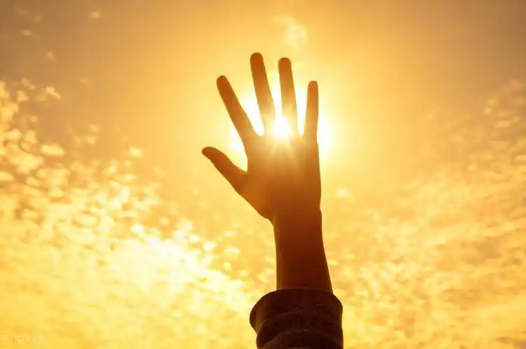 清晨朝气蓬勃的阳光短句,精美简洁,充满力量